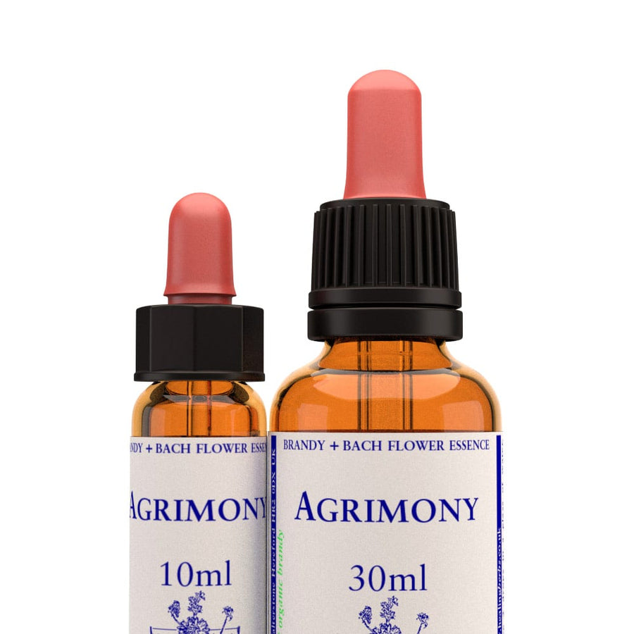 Agrimony Stock Essence - Healing Herbs