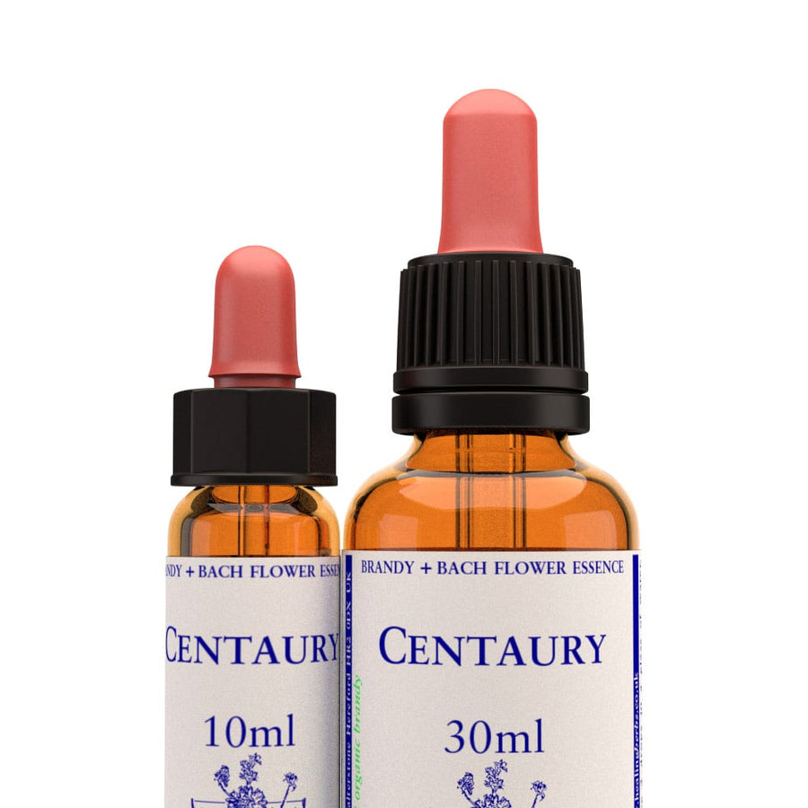 Centaury Stock Essence - Healing Herbs