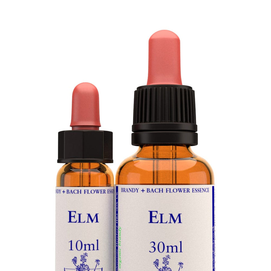 Elm Stock Essence - Healing Herbs