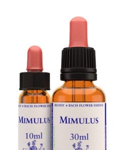 Mimulus Stock Essence - Healing Herbs