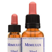 Mimulus Stock Essence - Healing Herbs