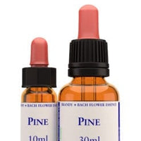 Pine Stock Essence - Healing Herbs