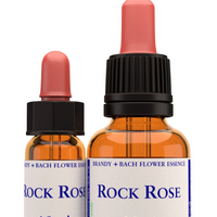 Rock Rose Stock Essence - Healing Herbs