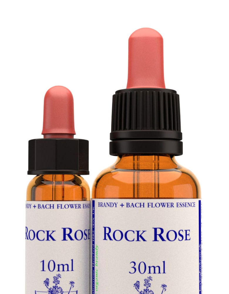 Rock Rose Stock Essence - Healing Herbs