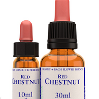 Red Chestnut Stock Essence - Healing Herbs