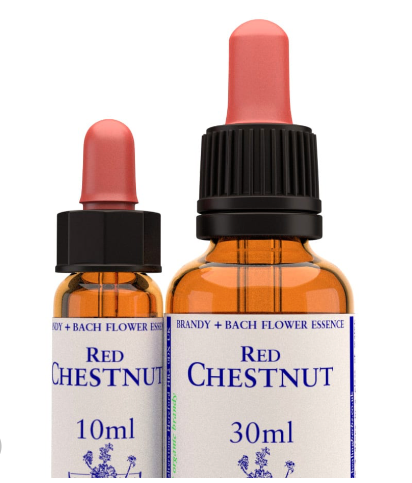 Red Chestnut Stock Essence - Healing Herbs